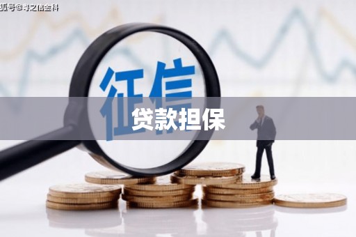 顺城贷款担保