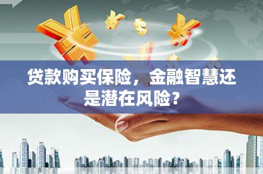 顺城贷款购买保险，金融智慧还是潜在风险？