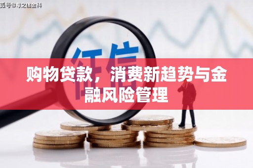 顺城购物贷款，消费新趋势与金融风险管理