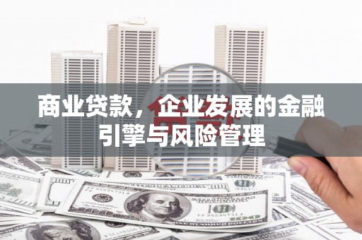 顺城商业贷款，企业发展的金融引擎与风险管理