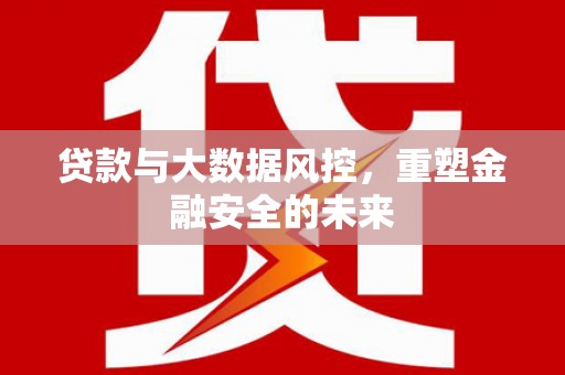 顺城贷款与大数据风控，重塑金融安全的未来