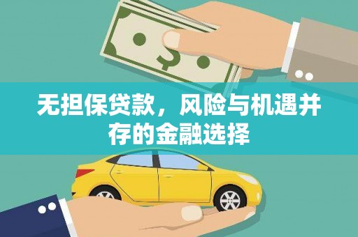 顺城无担保贷款，风险与机遇并存的金融选择