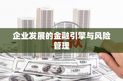 顺城企业发展的金融引擎与风险管理