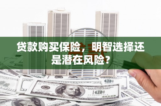 顺城贷款购买保险，明智选择还是潜在风险？