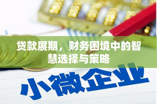 顺城贷款展期，财务困境中的智慧选择与策略