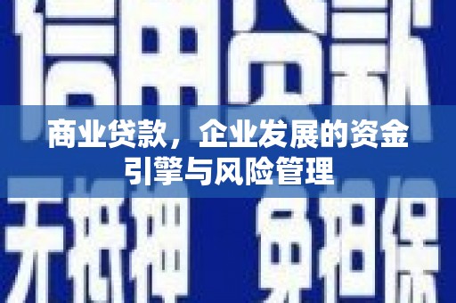 顺城商业贷款，企业发展的资金引擎与风险管理