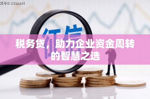 顺城税务贷，助力企业资金周转的智慧之选
