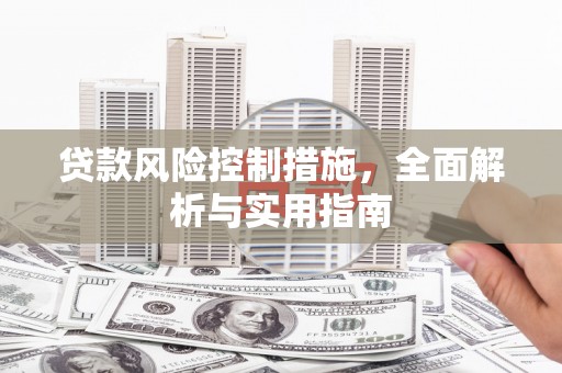 顺城贷款风险控制措施，全面解析与实用指南