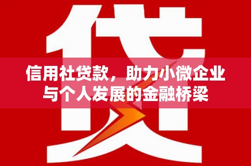 顺城信用社贷款，助力小微企业与个人发展的金融桥梁