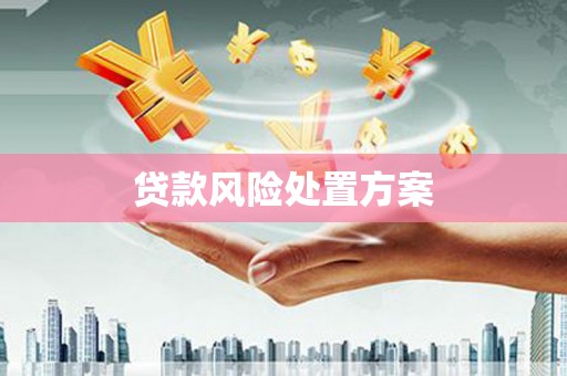 顺城贷款风险处置方案