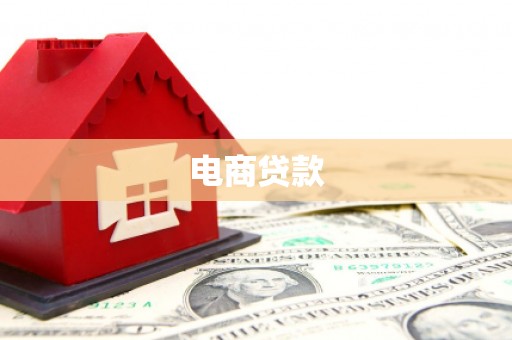 顺城电商贷款