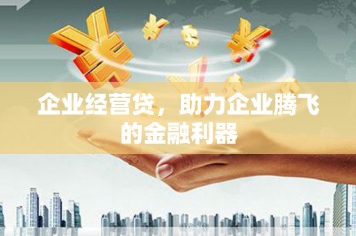 顺城企业经营贷，助力企业腾飞的金融利器