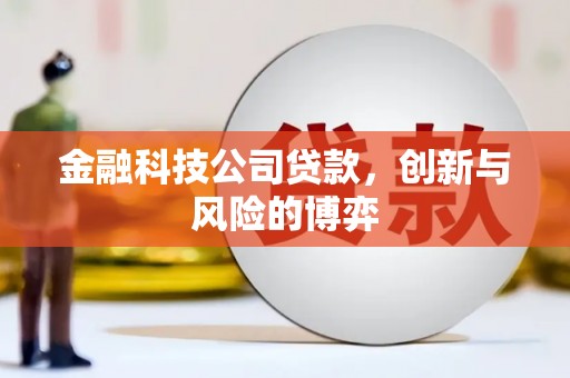 顺城金融科技公司贷款，创新与风险的博弈