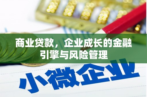 顺城商业贷款，企业成长的金融引擎与风险管理