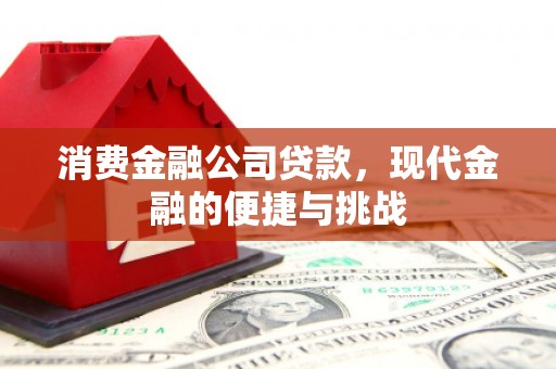 顺城消费金融公司贷款，现代金融的便捷与挑战