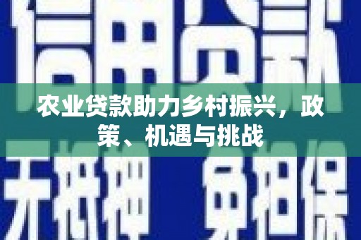 顺城农业贷款助力乡村振兴，政策、机遇与挑战