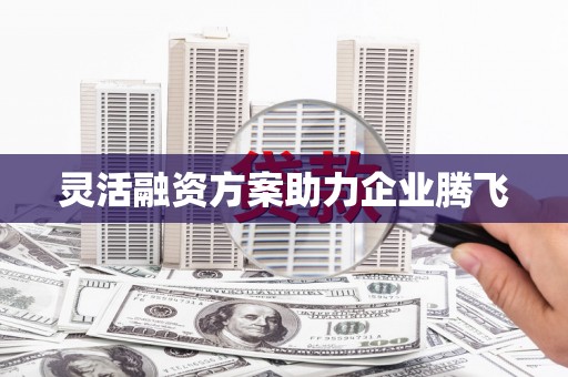 顺城灵活融资方案助力企业腾飞