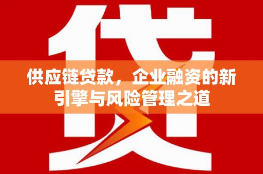 顺城供应链贷款，企业融资的新引擎与风险管理之道