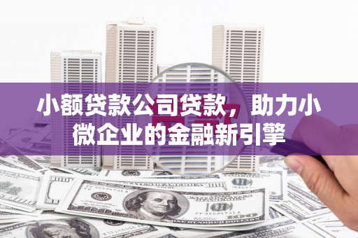 顺城小额贷款公司贷款，助力小微企业的金融新引擎