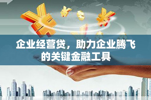 顺城企业经营贷，助力企业腾飞的关键金融工具