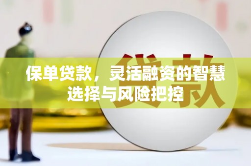 顺城保单贷款，灵活融资的智慧选择与风险把控