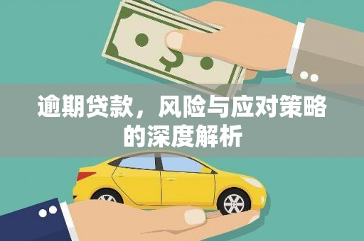 顺城逾期贷款，风险与应对策略的深度解析