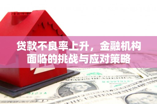 顺城贷款不良率上升，金融机构面临的挑战与应对策略