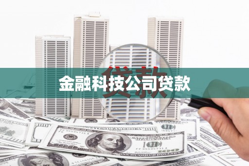 顺城金融科技公司贷款