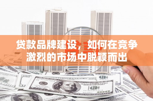 顺城贷款品牌建设，如何在竞争激烈的市场中脱颖而出