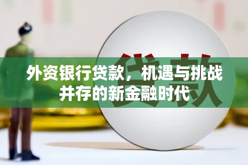 顺城外资银行贷款，机遇与挑战并存的新金融时代