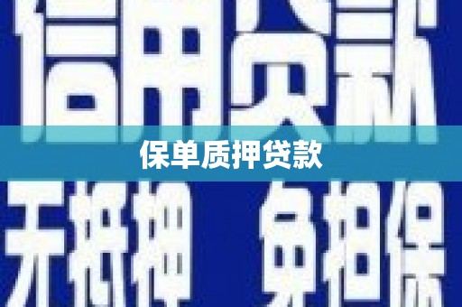顺城保单质押贷款