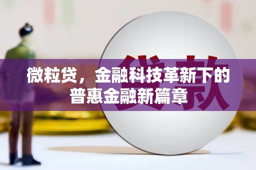 顺城微粒贷，金融科技革新下的普惠金融新篇章