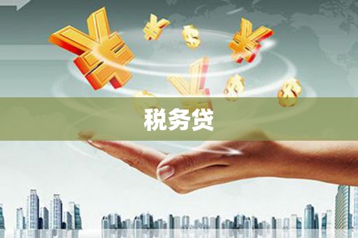 顺城税务贷