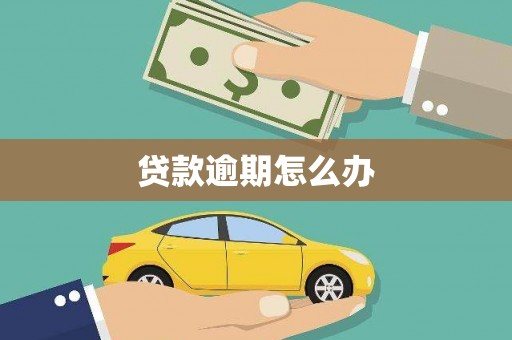 顺城贷款逾期怎么办