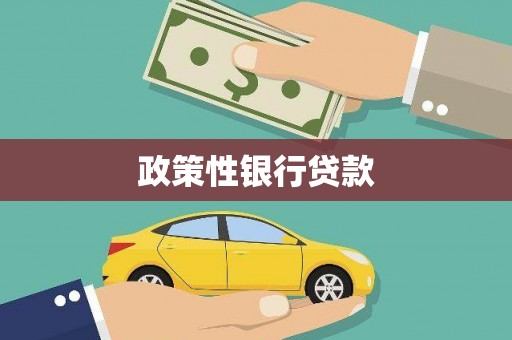顺城政策性银行贷款