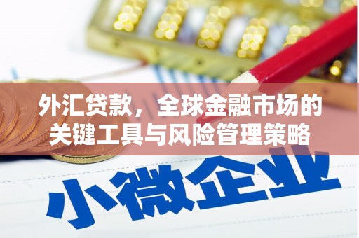 顺城外汇贷款，全球金融市场的关键工具与风险管理策略