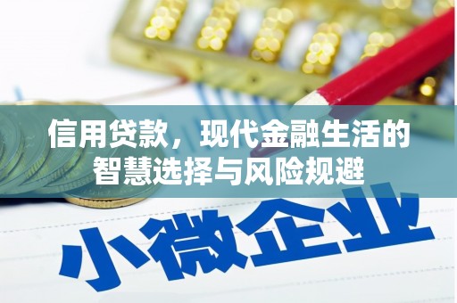顺城信用贷款，现代金融生活的智慧选择与风险规避