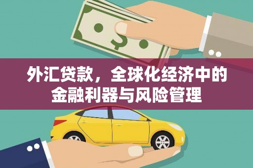 顺城外汇贷款，全球化经济中的金融利器与风险管理