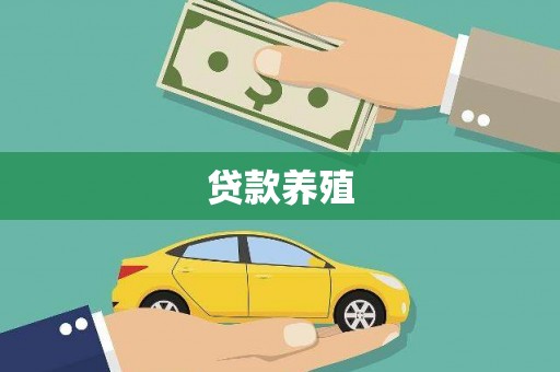 顺城贷款养殖