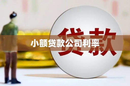 顺城小额贷款公司利率
