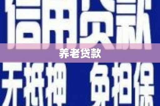 顺城养老贷款