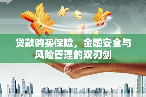 顺城贷款购买保险，金融安全与风险管理的双刃剑