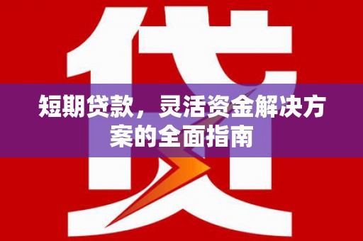 顺城短期贷款，灵活资金解决方案的全面指南