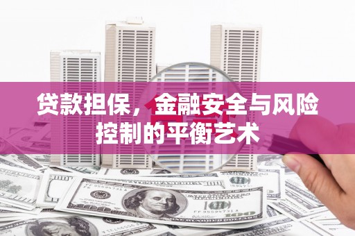 顺城贷款担保，金融安全与风险控制的平衡艺术