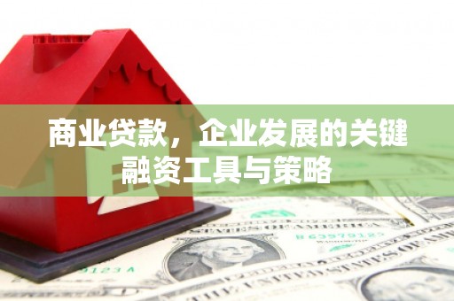 顺城商业贷款，企业发展的关键融资工具与策略