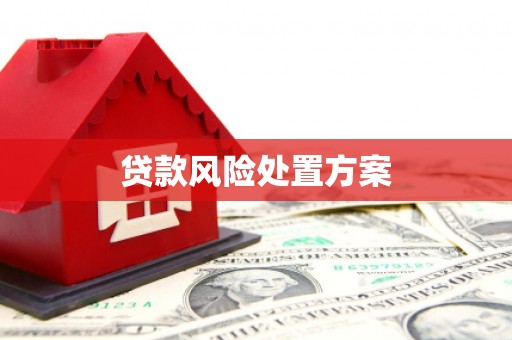 顺城贷款风险处置方案