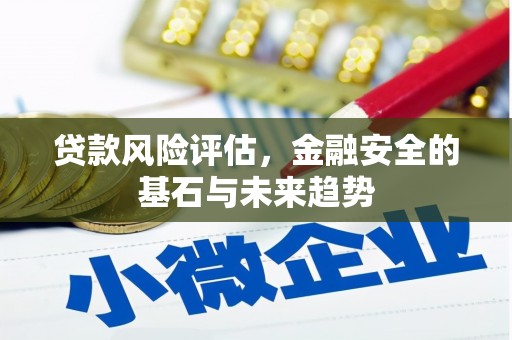 顺城贷款风险评估，金融安全的基石与未来趋势