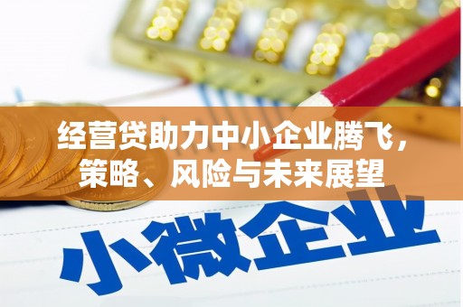 顺城经营贷助力中小企业腾飞，策略、风险与未来展望