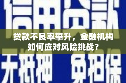 顺城贷款不良率攀升，金融机构如何应对风险挑战？