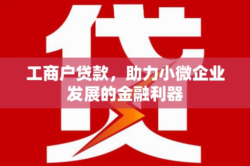 顺城工商户贷款，助力小微企业发展的金融利器